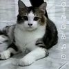 arianaros30