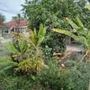 kassimselamat743