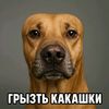 kvakq.one