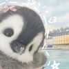 tiffxyz_2