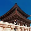 anhbeotv185