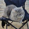 yaya_s115