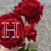 ha.r30