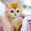 fati.fatima123