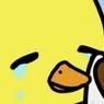 chubbu_puffy