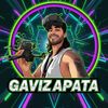 gavi_zap