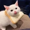 chdjd11