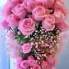 kheyan.abbas.khan5