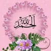hasnfh3