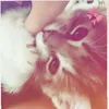itzzzpatka
