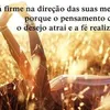 alessandrarodriges2