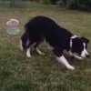 mupchikk