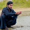 nawidkhan302