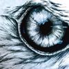 drewbirdeye
