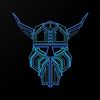 virgoviking23