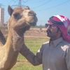 ابو عيد