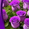 blessedgiftedmom