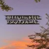 all_shmre
