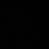 rayok_5