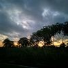 alfifi_41
