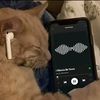 donat1video