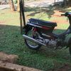 udinblues019