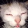 stinkyfut