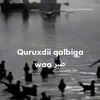 quruxdiiqalbiga