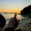 seletortopico