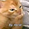 tu_tio_yumpio