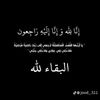 malek_kr31.r