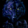 _www.dalel.kz_