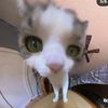 dont.bother_99