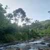 bngmata