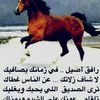 user9710511240281