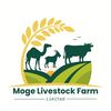 mogelivestockfarm
