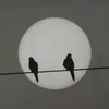 payiz95