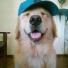 kajskz2