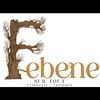 f_ebene0