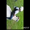 alexandermartin971