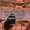 clazee_0210