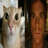 lizzdostefan
