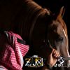 amer_rishek