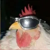 basicyakrut