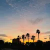 macielsanchez9