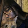 .pamelaxd