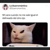 perro.picudo