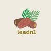 leadn1