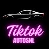 tiktokautosnl