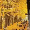 kab_dov_quav23
